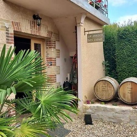 La Maison Des Vignes Charentay Kültér fotó