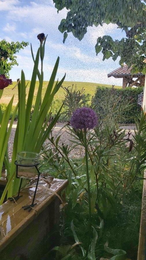 La Maison Des Vignes Charentay Kültér fotó