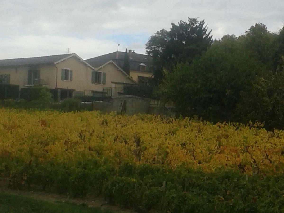 La Maison Des Vignes Charentay Kültér fotó