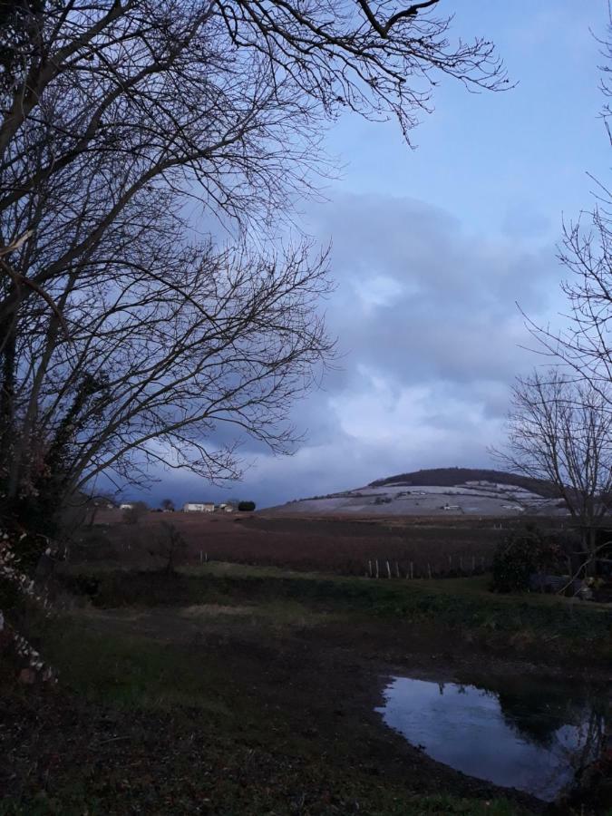 La Maison Des Vignes Charentay Kültér fotó