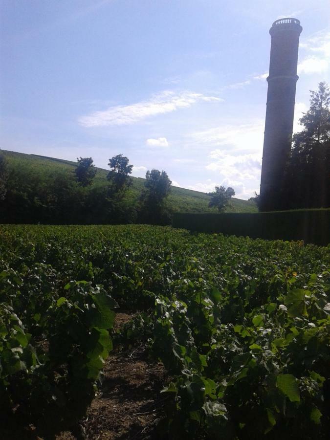 La Maison Des Vignes Charentay Kültér fotó