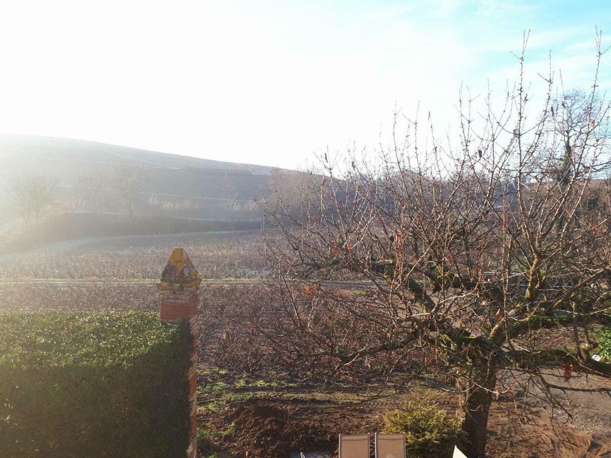 La Maison Des Vignes Charentay Kültér fotó